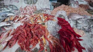 Morocco street food, рыба на углях - где рядом морская рыбалка?