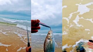 Tangier - спиннинг и робало: рыбалка на течении у мола