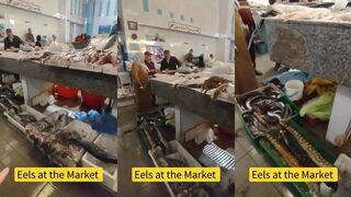 Tangier Fish Market: как разделывают улов и что брать к рыбалке