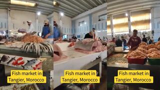 Танжер, рыбный рынок: что покупать рыболову перед выходом