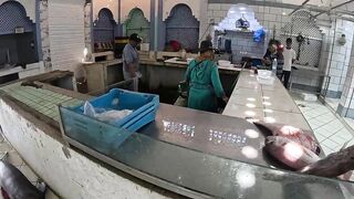 Asilah, Марокко - еда, релакс и морская рыбалка на городской косе