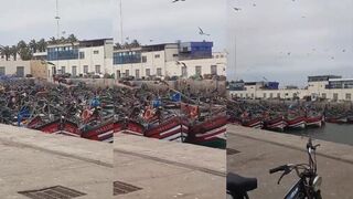 Отмечено галочкой — но есть ли рыбалка поблизости на закате?