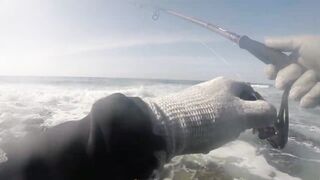 El Jadida, техника троллинга со спиннингом у бровки