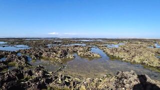 El Jadida coast: прогулка по берегу и куда кидать джиг