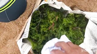 El Oualidia - pêche à la daurade: морская рыбалка в лагуне Марокко