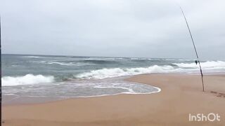 El Oualidia - pêche à la daurade: морская рыбалка в лагуне Марокко