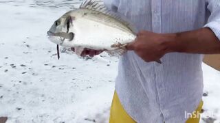 El Oualidia - pêche à la daurade: морская рыбалка в лагуне Марокко