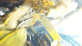 Oualidia, подводная охота на sar fish у каменных гряд