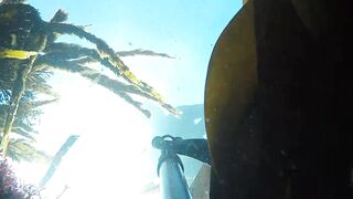 Oualidia, подводная охота на sar fish у каменных гряд