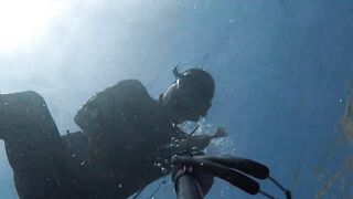 Oualidia, подводная охота на sar fish у каменных гряд