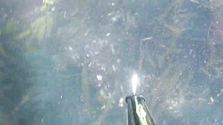 Oualidia, подводная охота на sar fish у каменных гряд