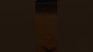 Mohammedia, beach fishing - рыбалка на прибое после заката