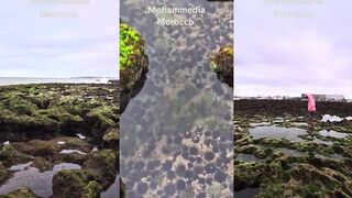 Mohammedia, красивый пляж - рыбалка в городе и прогулки у воды