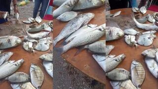 Лараш, Марокко — традиционная морская рыбалка у речного устья