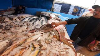 Larache Fish Market - ассортимент и цены у набережной