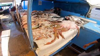 Larache Fish Market - ассортимент и цены у набережной