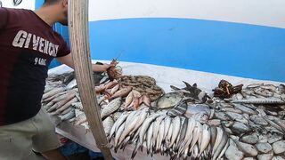 Larache Fish Market - ассортимент и цены у набережной