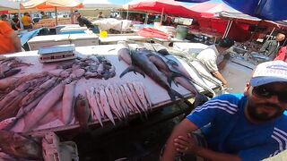Larache Fish Market - ассортимент и цены у набережной