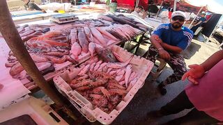Larache Fish Market - ассортимент и цены у набережной