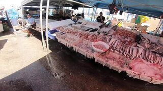 Larache Fish Market - ассортимент и цены у набережной