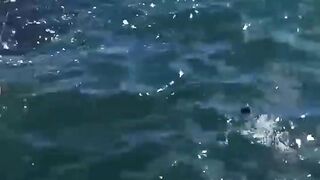 Sidi Ifni, юг: дневной выезд на скалы и короткая рыбалка