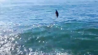 Sidi Ifni, юг: дневной выезд на скалы и короткая рыбалка