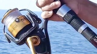 Sidi Ifni, юг: дневной выезд на скалы и короткая рыбалка