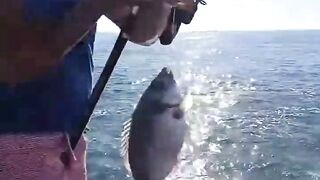 Sidi Ifni, юг: дневной выезд на скалы и короткая рыбалка