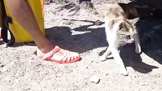 Sidi Ifni, юг: дневной выезд на скалы и короткая рыбалка