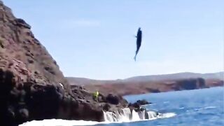 Sidi Ifni, юг: дневной выезд на скалы и короткая рыбалка