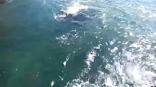 Sidi Ifni, юг: дневной выезд на скалы и короткая рыбалка