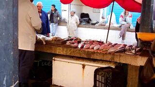 Sidi Ifni: рыбный рынок и маленькие рестораны у причала