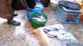 Sidi Ifni: рыбный рынок и маленькие рестораны у причала