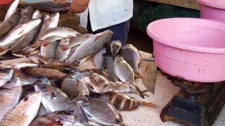 Sidi Ifni: рыбный рынок и маленькие рестораны у причала