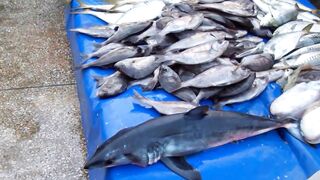 Sidi Ifni: рыбный рынок и маленькие рестораны у причала