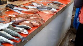 Sidi Ifni: рыбный рынок и маленькие рестораны у причала