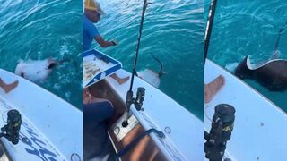 Испания, скат у берега: есть ли тут безопасные места для рыбалки с пирса?