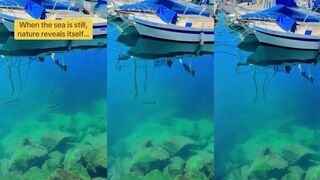 Gran Canaria - вода такая прозрачная: морская рыбалка на мели