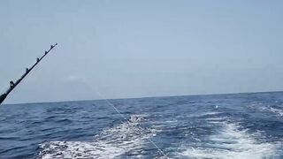 Gran Canaria — марлин взял на поверхности, как повторить поклевку?