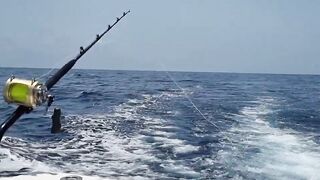 Gran Canaria — марлин взял на поверхности, как повторить поклевку?