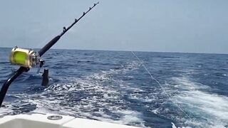 Gran Canaria — марлин взял на поверхности, как повторить поклевку?