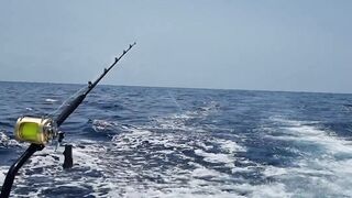 Gran Canaria — марлин взял на поверхности, как повторить поклевку?