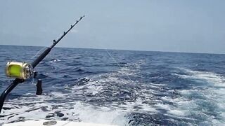 Gran Canaria — марлин взял на поверхности, как повторить поклевку?