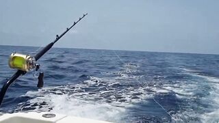 Gran Canaria — марлин взял на поверхности, как повторить поклевку?