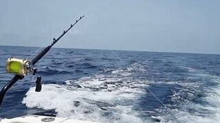 Gran Canaria — марлин взял на поверхности, как повторить поклевку?