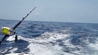 Gran Canaria — марлин взял на поверхности, как повторить поклевку?