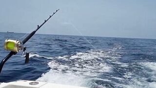 Gran Canaria — марлин взял на поверхности, как повторить поклевку?