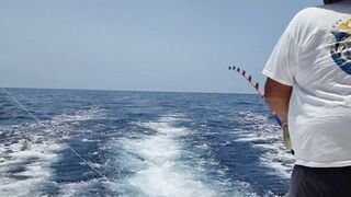 Gran Canaria — марлин взял на поверхности, как повторить поклевку?