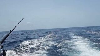 Gran Canaria — марлин взял на поверхности, как повторить поклевку?