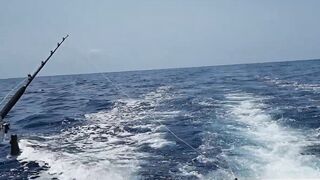 Gran Canaria — марлин взял на поверхности, как повторить поклевку?